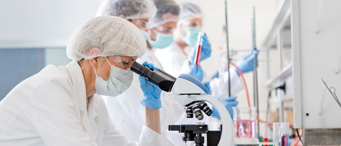 Researchers work in a lab.
