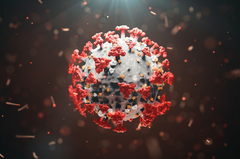 COVID virus